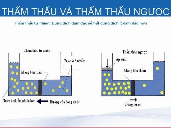 Định nghĩa áp suất thẩm thấu