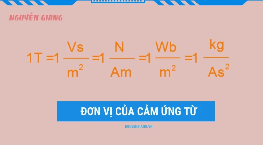 Đơn vị đo cảm ứng từ