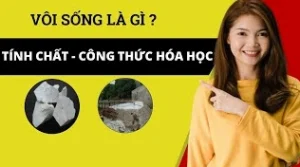 Giải Mã **Công Thức Hóa Học Của Vôi Sống** (CaO): Toàn Tập 2026