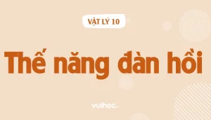 Giải Mã Công Thức Lực Đàn Hồi: Nắm Vững Nền Tảng Vật Lý Quan Trọng Nhất 2026