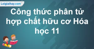 Giải Mã Công Thức Phân Tử Hợp Chất Hữu Cơ: Từ A đến Z trong Hóa Học 2026
