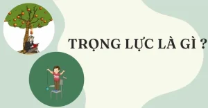 Giải Mã Công Thức Trọng Lực: Sức Hút Vạn Vật Quanh Ta (2026)
