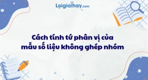 Giải Mã Công Thức Tứ Phân Vị: Nắm Vững Phân Tích Dữ Liệu 2026