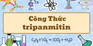 Giải mã Tripalmitin Công Thức: Bí ẩn của Chất Béo trong Hóa Học 2026
