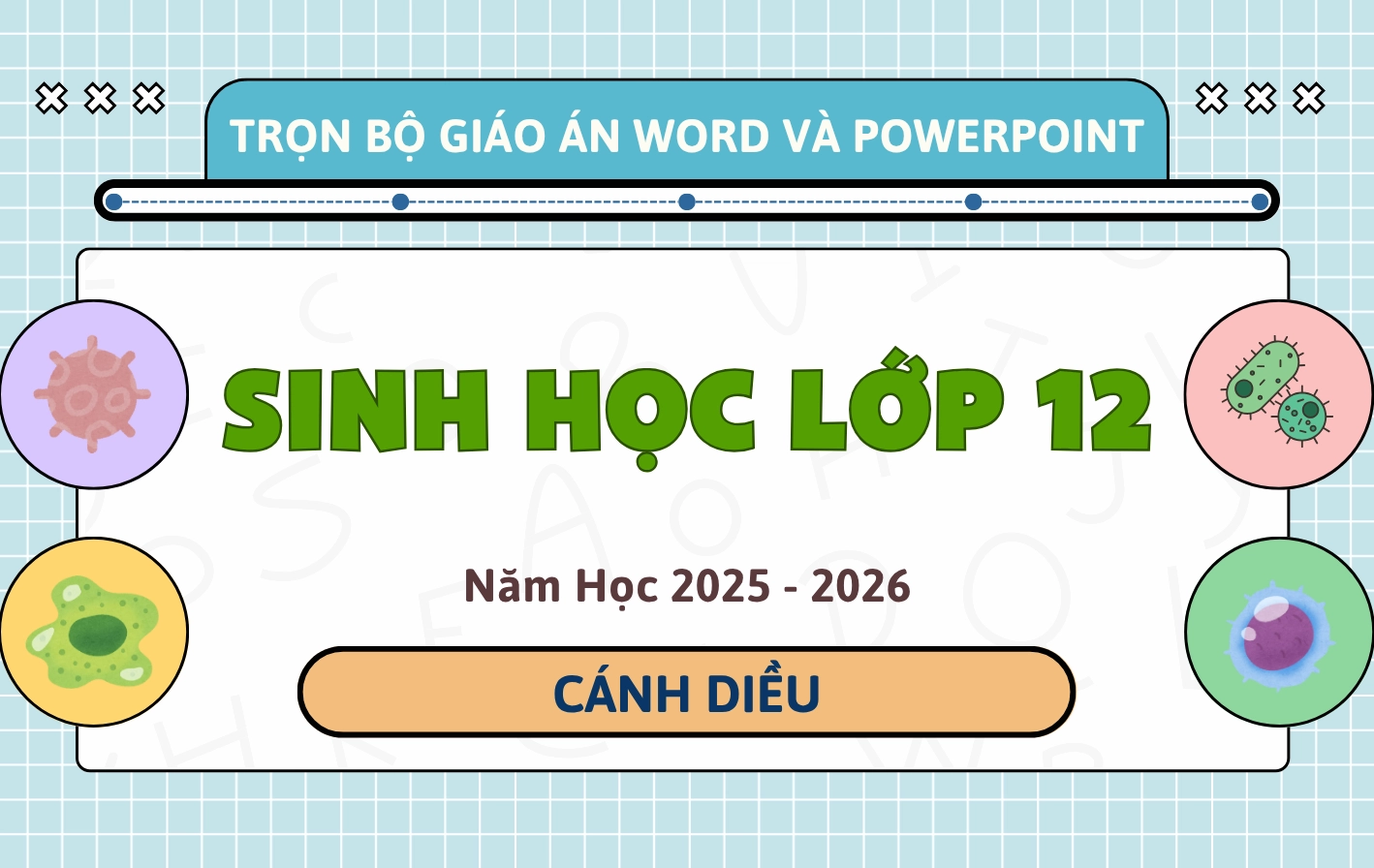 Giáo Án Word & PowerPoint Sinh Học 12 CD