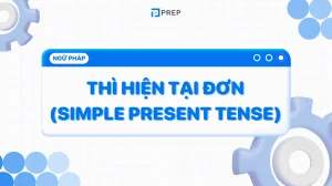 Hiện Tại Đơn Công Thức: Hướng Dẫn Toàn Diện Từ A-Z Cho Người Học Tiếng Anh 2026