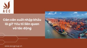Hiểu Rõ Công Thức Cán Cân Xuất Nhập Khẩu: Chìa Khóa Kinh Tế 2026