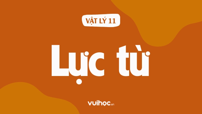 Hình minh họa lực từ và cảm ứng từ