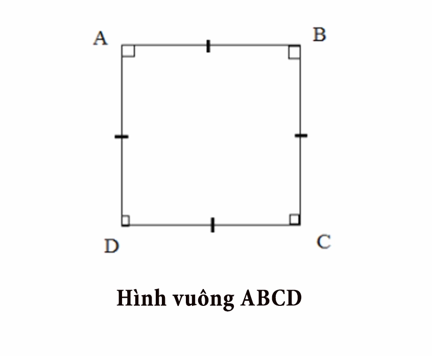 Hình vuông và chu vi