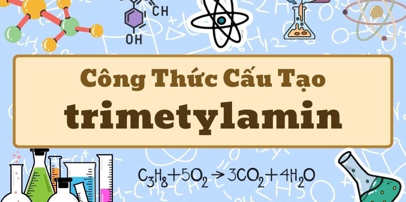 Kiến thức về công thức của trimetylamin và ứng dụng trong hóa học