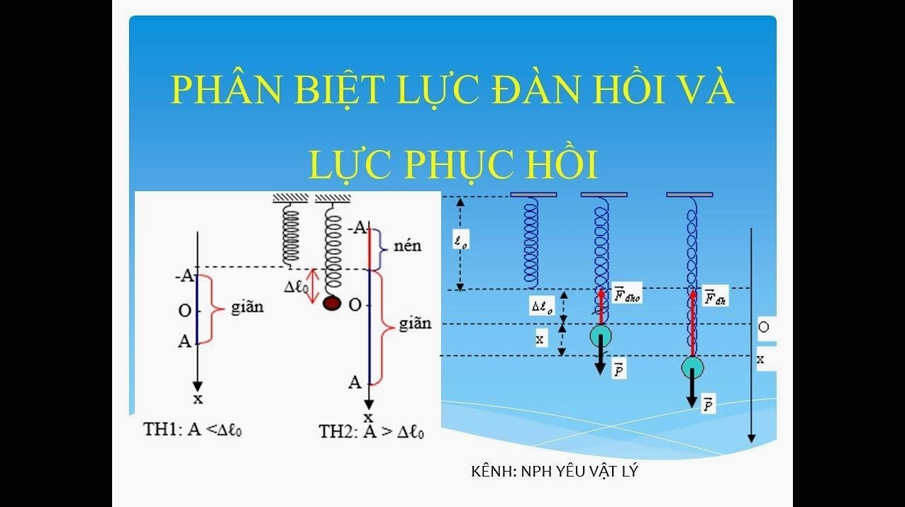 Lực Đàn Hồi và Lực Phục Hồi: Tìm Hiểu Định Nghĩa, Công Thức và Ứng Dụng Thực Tiễn