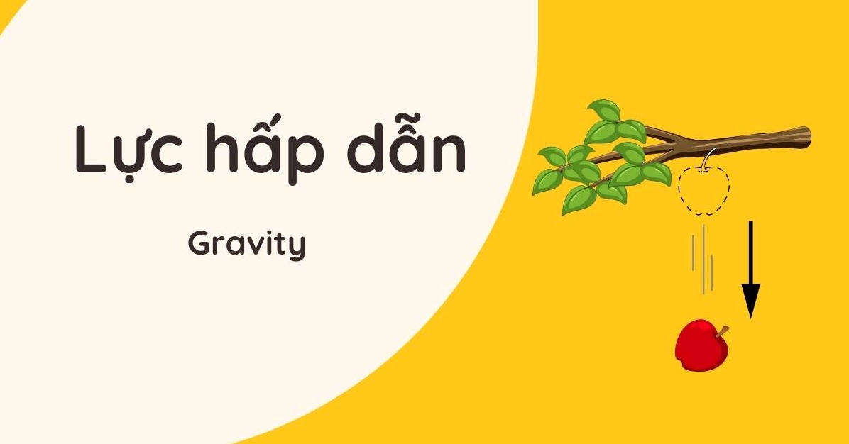 Lực hấp dẫn là gì? Công thức, ví dụ & bài tập có đáp án
