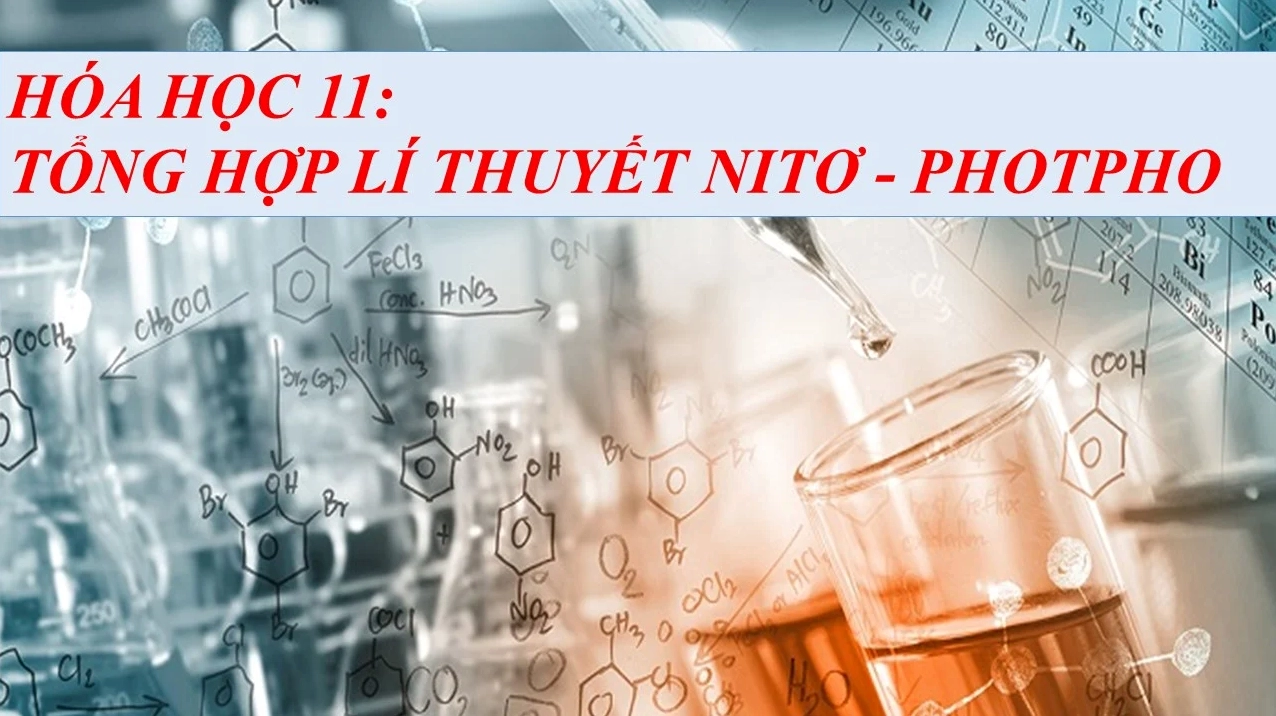 Lý Thuyết Chương Nitơ Photpho: Khám Phá Các Khía Cạnh Quan Trọng Và Ứng Dụng Thực Tiễn