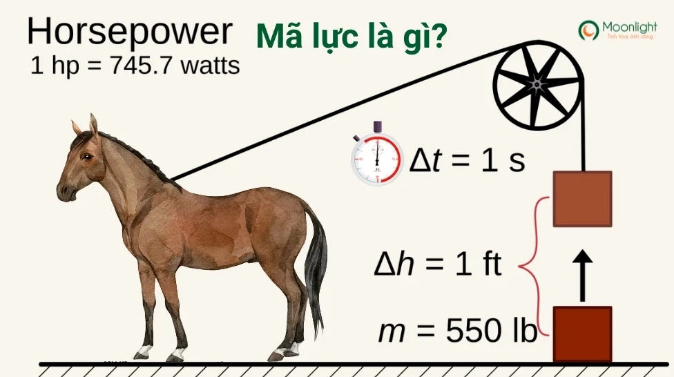 Mã lực là gì? 1 mã lực (HP) bằng bao nhiêu kW, btu?
