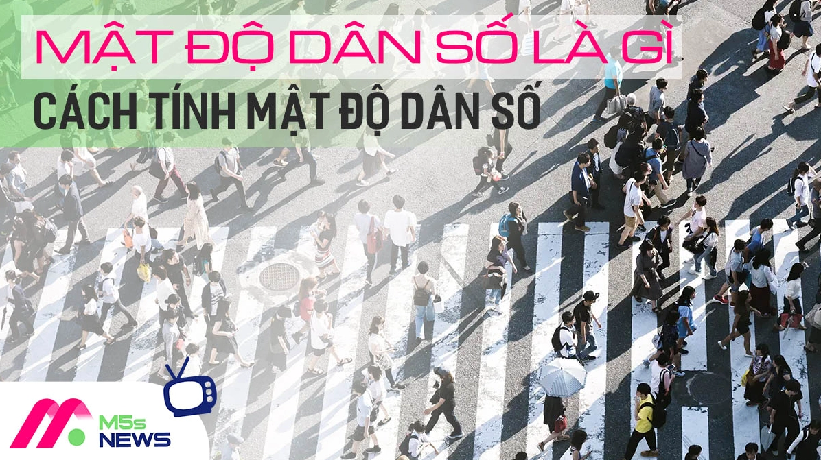 Mật độ dân số là gì, các tính mật độ dân số