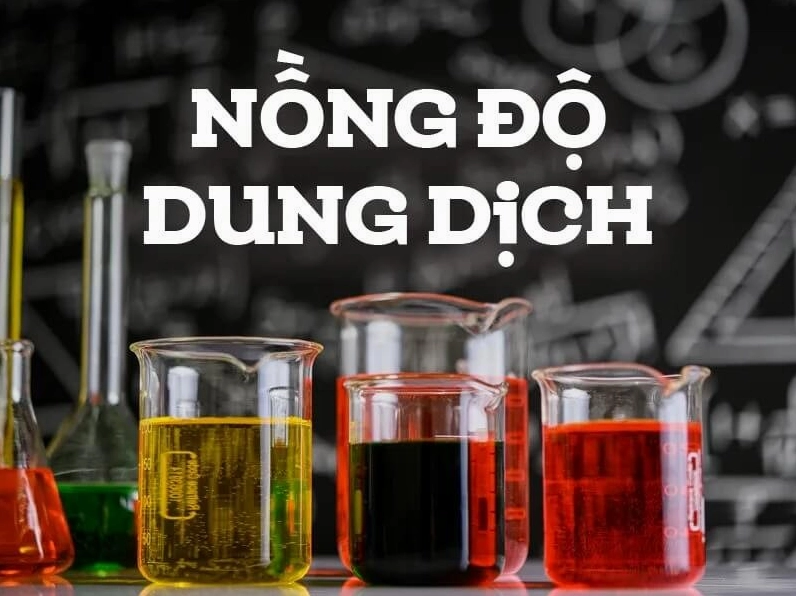 Minh họa các thành phần của dung dịch