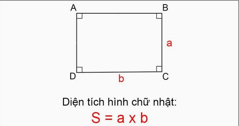 minh họa về các hình học cơ bản