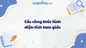 Nắm Vững 6+ Công Thức Tính Diện Tích Tam Giác Lớp 10 Đầy Đủ Nhất Năm 2026