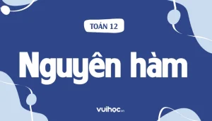 Nắm Vững Các Công Thức Nguyên Hàm: Chinh Phục Toán 12 & THPT QG 2026