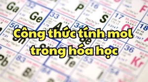 Nắm Vững Các Công Thức Tính Mol: Hướng Dẫn Toàn Diện Từ A-Z Năm 2026