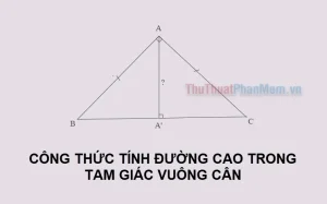 Nắm Vững Công Thức Đường Cao Tam Giác Đều: Chìa Khóa Giải Toán Hình Học!