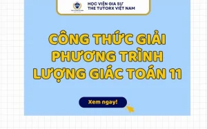 Nắm Vững Công Thức Sin Cos: Bí Quyết Chinh Phục Lượng Giác 2026!