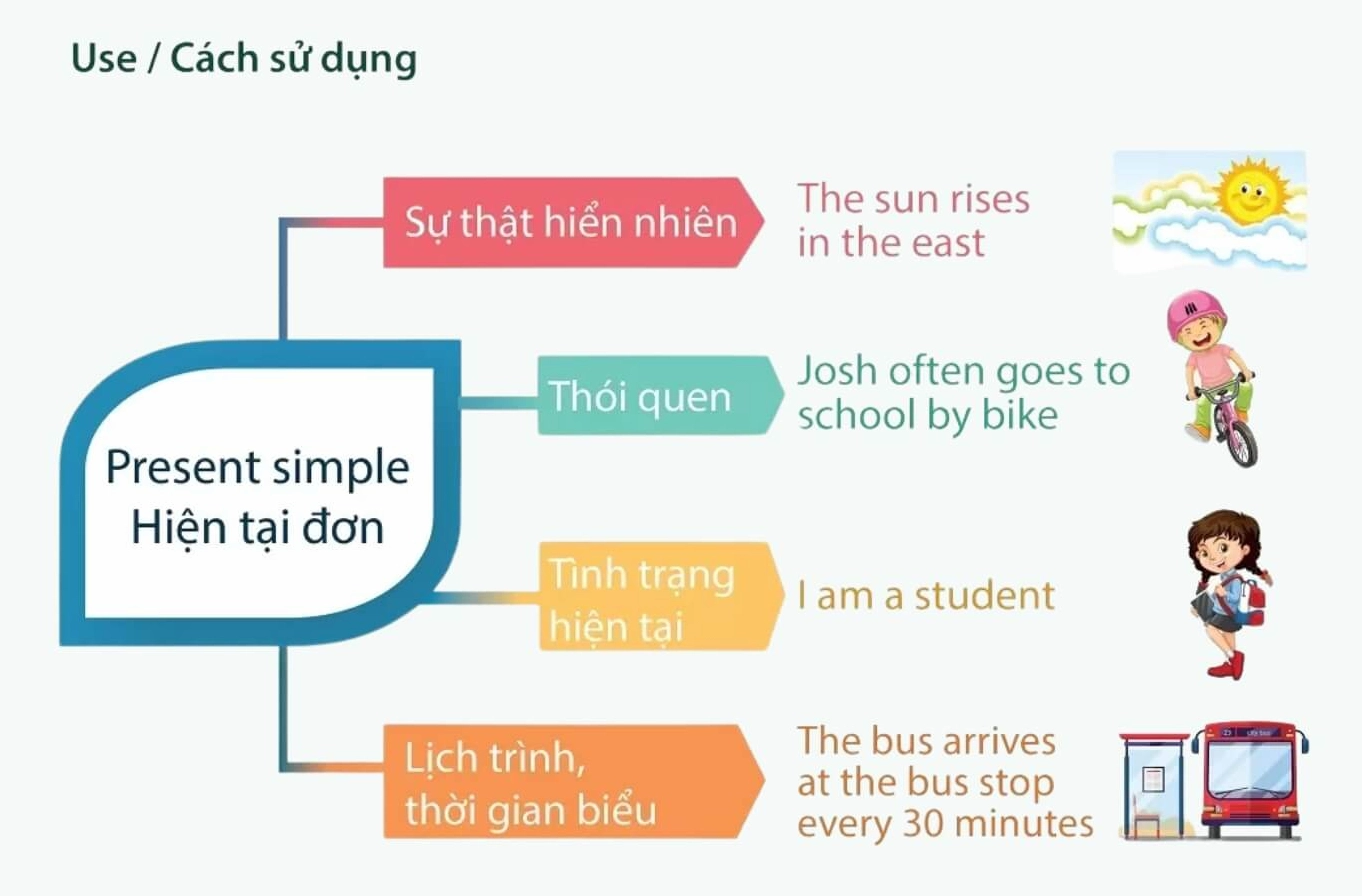 Nếu nhìn thấy những dấu hiệu trên, thì hãy chia thì hiện tại đơn