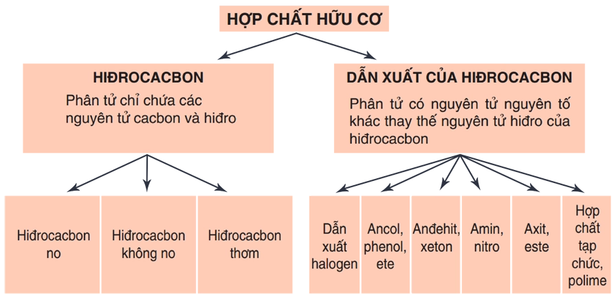Phân biệt tinh bột với các hợp chất hữu cơ khác