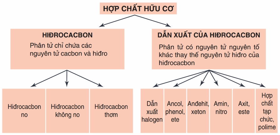 Phân loại hợp chất hữu cơ - lý thuyết hóa hữu cơ