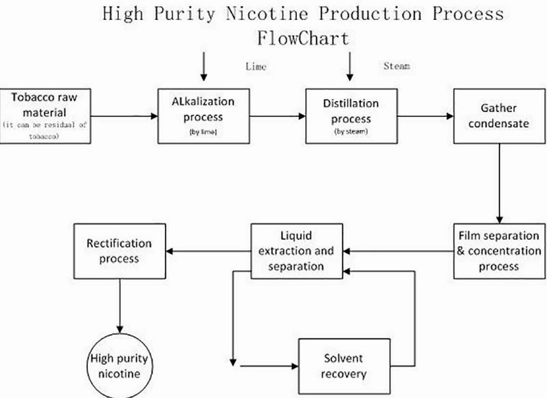 Phương pháp tổng hợp và chiết xuất nicotine