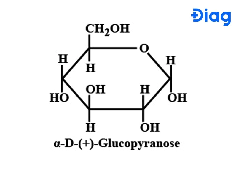 Pyranose là dạng vòng 6 cạnh phổ biến nhất của glucose