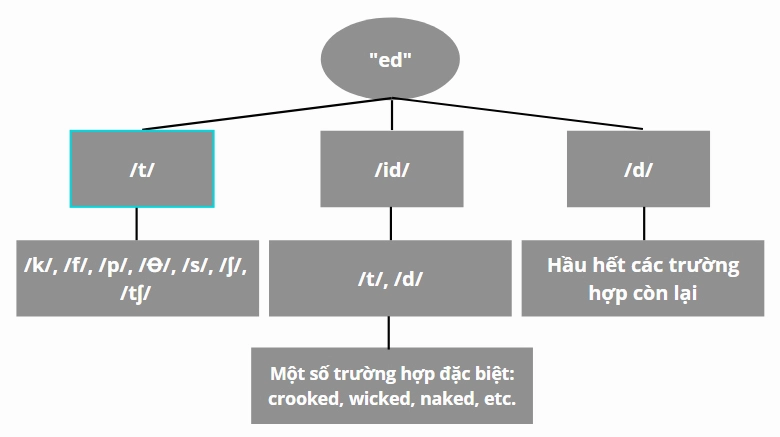 Quy tắc phát âm Ed chuẩn