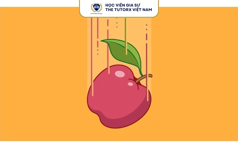 Rơi tự do là gì?