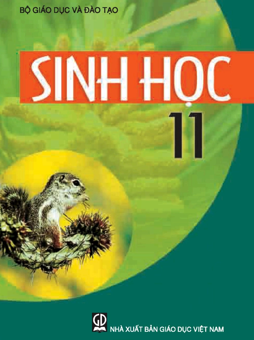 Sách Sinh học lớp 11, tài liệu hữu ích cho việc học cấu trúc phân tử