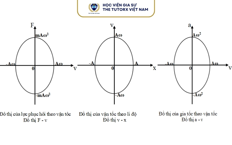 So sánh gia tốc vận tốc và li độ trong dao động điều hòa