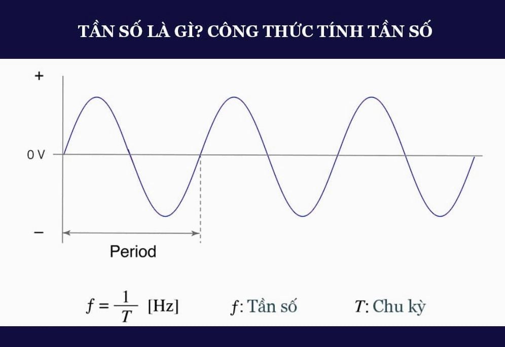 tan so la gi-1