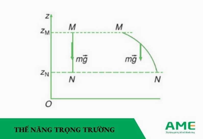 thế năng trọng trường