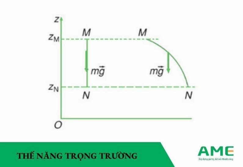 thế năng trọng trường