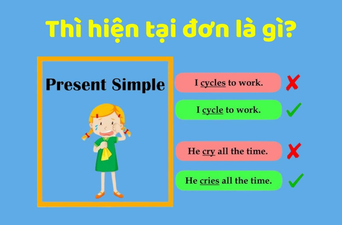 Thì hiện tại đơn dùng để diễn tả các hành động mang tính chất thường xuyên