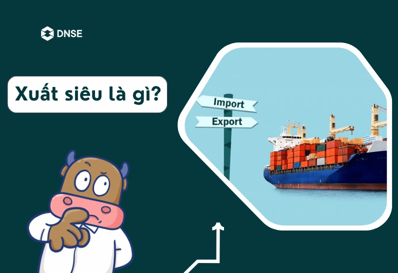 Tìm hiểu về Xuất siêu