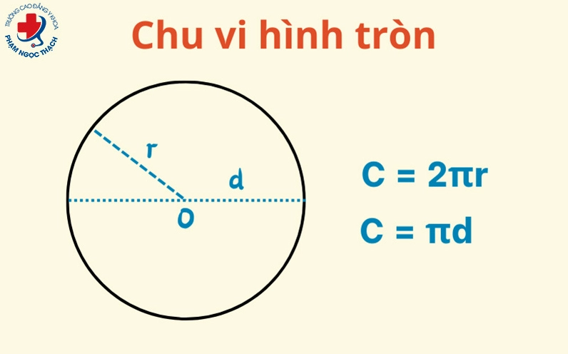 Tính chu vi hình tròn đơn giản