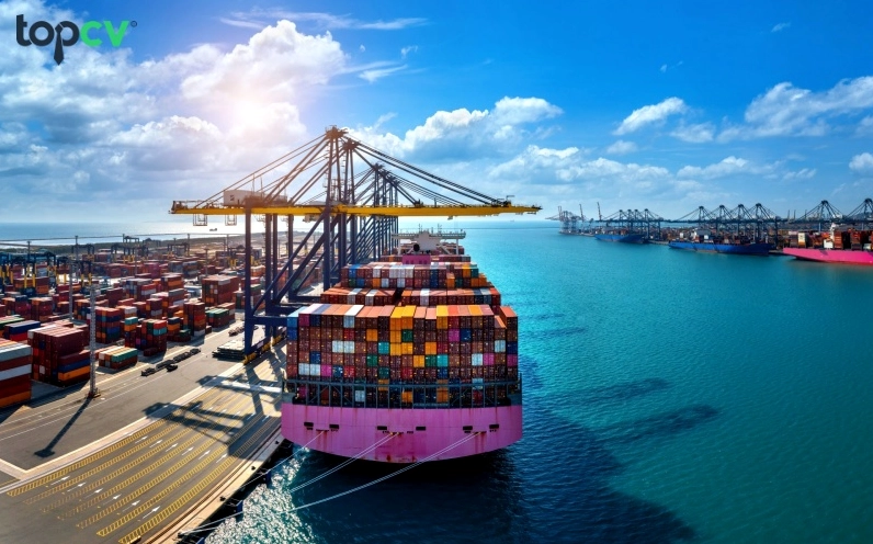Tình hình cán cân xuất nhập nhập khẩu ở Việt Nam