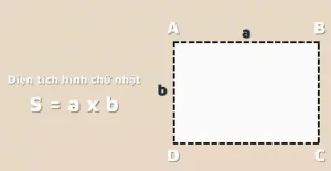 Tổng Hợp Các Công Thức Diện Tích Chuẩn Xác Nhất 2026: Nắm Vững Mọi Hình Học!