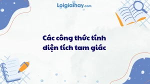 Tổng Hợp Các Công Thức Tính Diện Tích Tam Giác Từ Cơ Bản Đến Nâng Cao