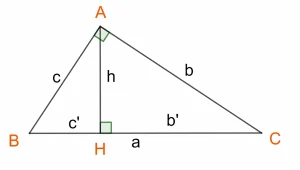 Tổng Hợp Công Thức Lượng Giác Lớp 9: Nền Tảng Vững Chắc Cho Mọi Bài Toán