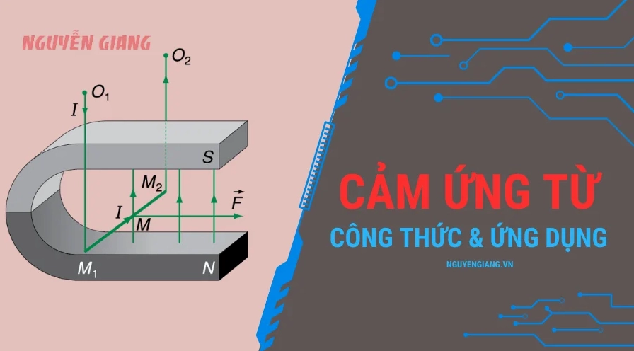 Tổng quan cảm ứng từ, công thức và ứng dụng