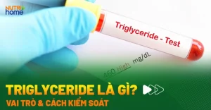 Triglyceride Công Thức: Giải Mã Chất Béo Quan Trọng & Cách Kiểm Soát Hiệu Quả 2026
