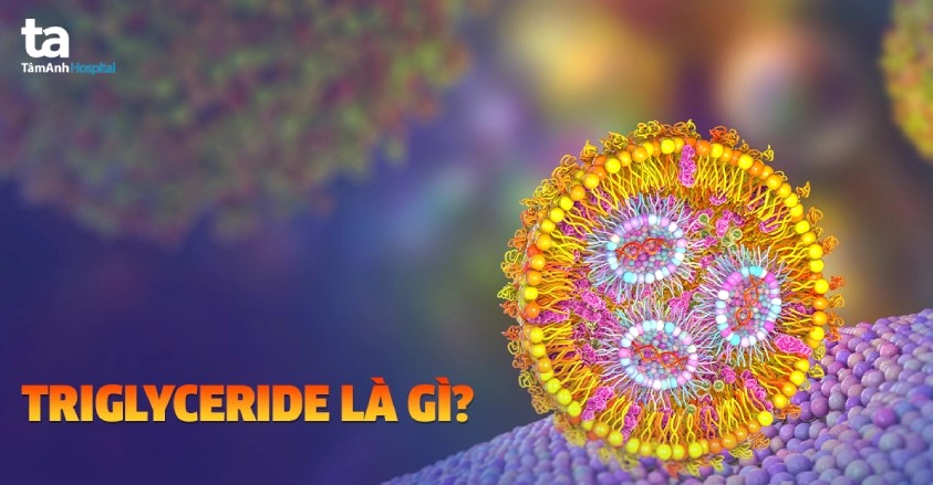 triglyceride