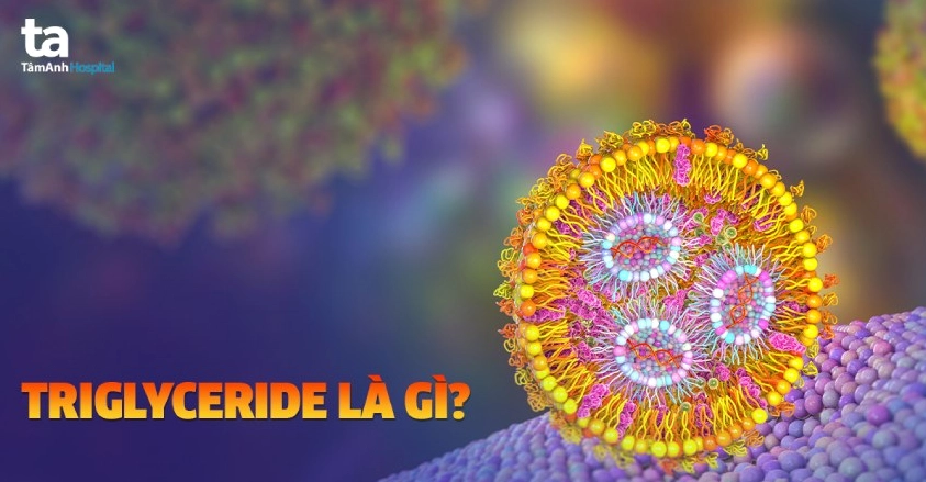 triglyceride