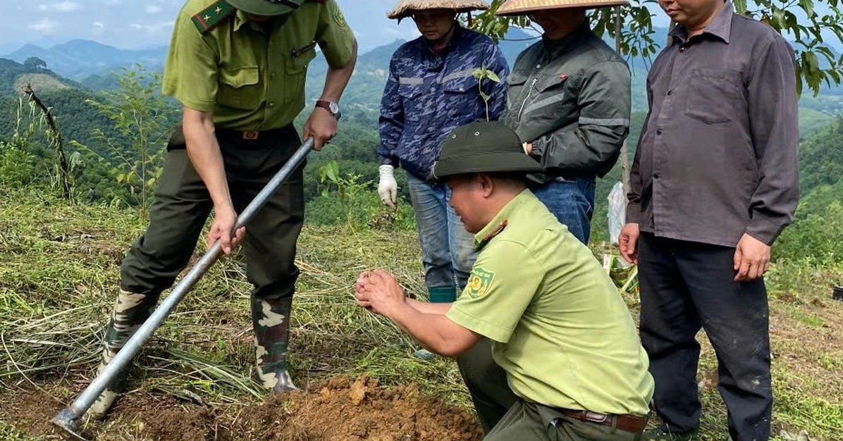 Tuyên Quang: Giữ rừng để kiến tạo những giá trị phát triển bền vững cho cộng đồng